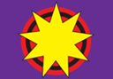 State Reform Party